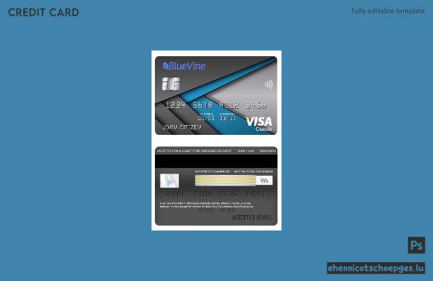 USA Kalifornien BlueVine Bank Visa Classic Card Beispielvorschau